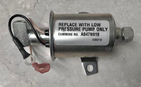 A047N919, Fuel Pump, Onan
