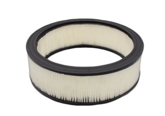 0F5419 Air Filter, Generac