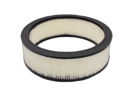 0F5419 Air Filter, Generac