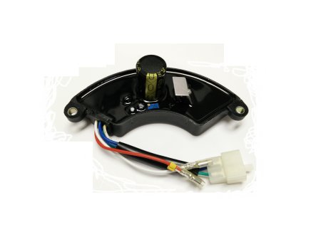 Briggs 312038GS, AVR, Portable Regulator