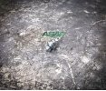 D85HF160 - Diode, 85A 1600PIV DO5