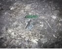 D25F120 - Diode, 25A, 1200PIV
