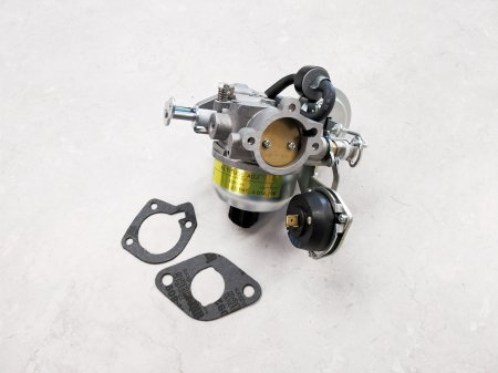 146-0665 Carburetor, Onan