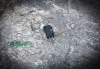 Generac / Guardian 084464 limit switch replacement