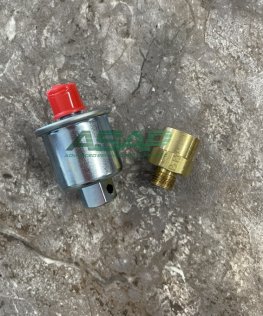 GM116125-S Fuel Filter, Kohler, Replaces 267987