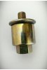 Generac 074016 Fuel filter for RV or Quicksilver 35-810879