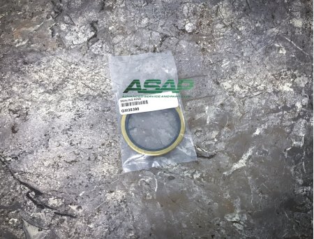 GM35390 - Ring, Sealing - Kohler