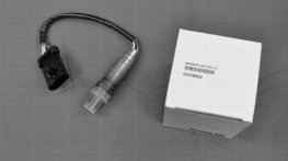 Kohler GM39602 Oxygen Sensor, Heated